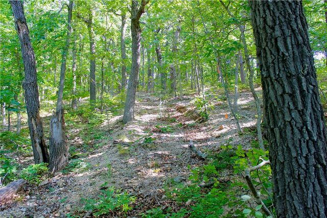 000 County Road 207, Eureka Springs, AR 72632