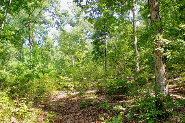 000 County Road 207, Eureka Springs, AR 72632