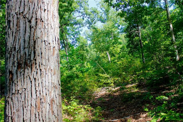 000 County Road 207, Eureka Springs, AR 72632