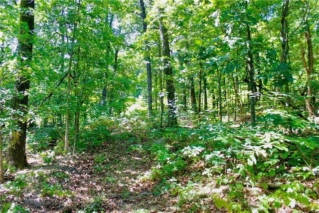 000 County Road 207, Eureka Springs, AR 72632