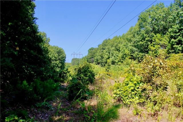 000 County Road 207, Eureka Springs, AR 72632