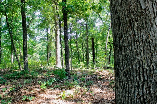 000 County Road 207, Eureka Springs, AR 72632