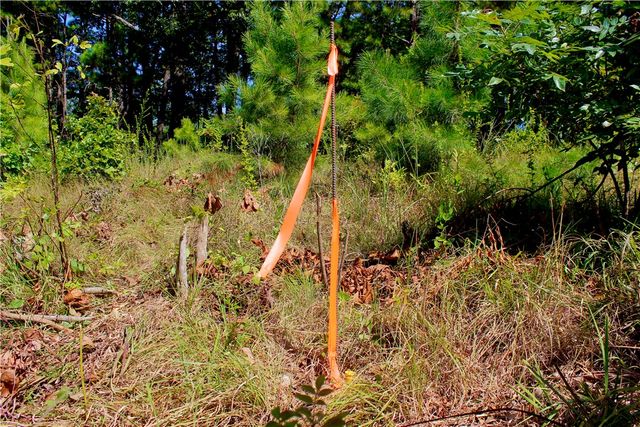 000 County Road 207, Eureka Springs, AR 72632