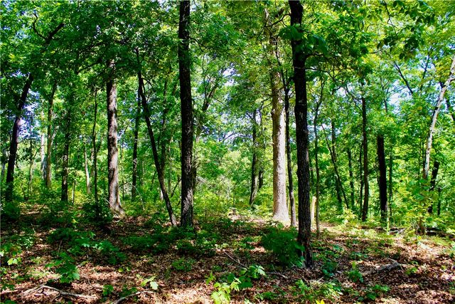 000 County Road 207, Eureka Springs, AR 72632