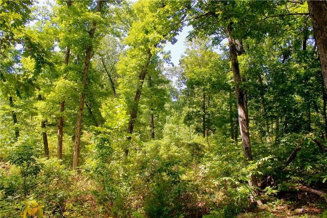 000 County Road 207, Eureka Springs, AR 72632