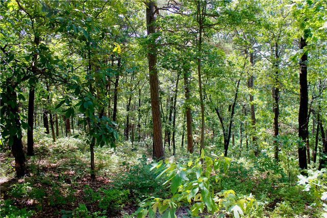000 County Road 207, Eureka Springs, AR 72632