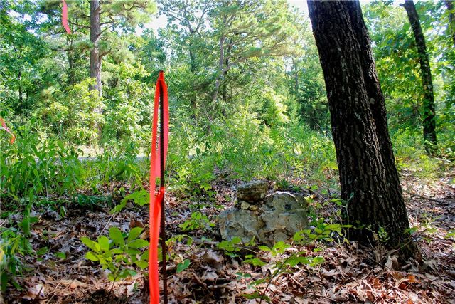 000 County Road 207, Eureka Springs, AR 72632