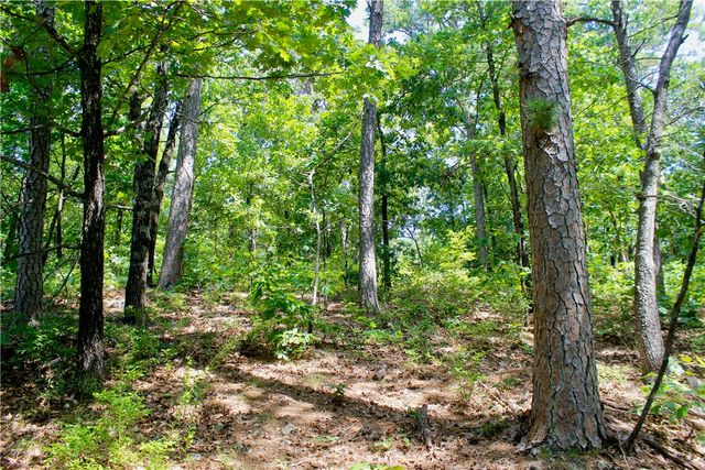 000 County Road 207, Eureka Springs, AR 72632