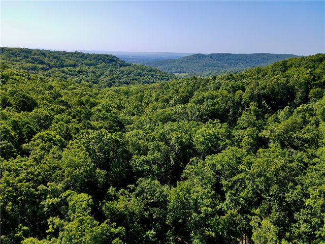 000 County Road 207, Eureka Springs, AR 72632
