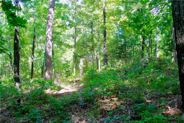 000 County Road 207, Eureka Springs, AR 72632