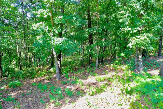 000 County Road 207, Eureka Springs, AR 72632
