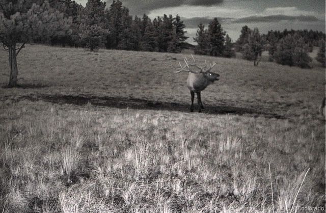 10801 County Road M-32, Del Norte, CO 81132