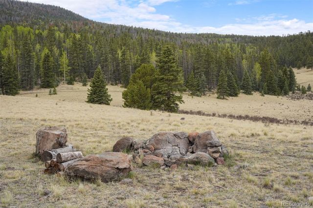10801 County Road M-32, Del Norte, CO 81132