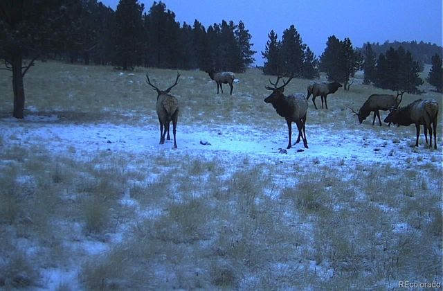 10801 County Road M-32, Del Norte, CO 81132
