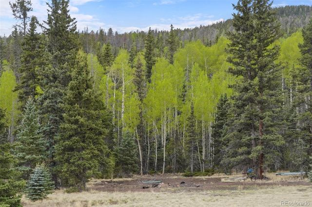 10801 County Road M-32, Del Norte, CO 81132
