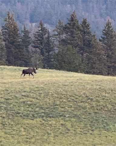10801 County Road M-32, Del Norte, CO 81132