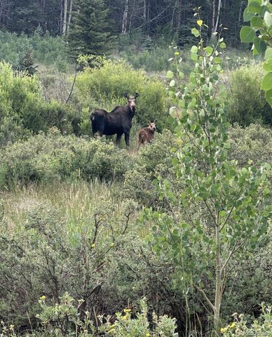 10801 County Road M-32, Del Norte, CO 81132