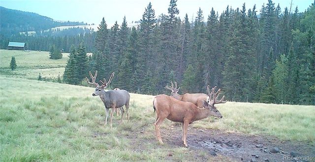 10801 County Road M-32, Del Norte, CO 81132