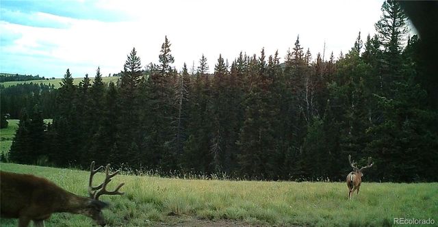 10801 County Road M-32, Del Norte, CO 81132