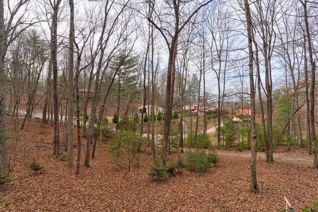 80 Treetop Lane, Blairsville, GA 30512