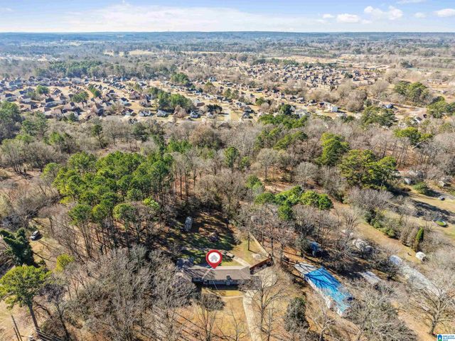 1220 SPARKS GAP ROAD, Bessemer, AL 35020