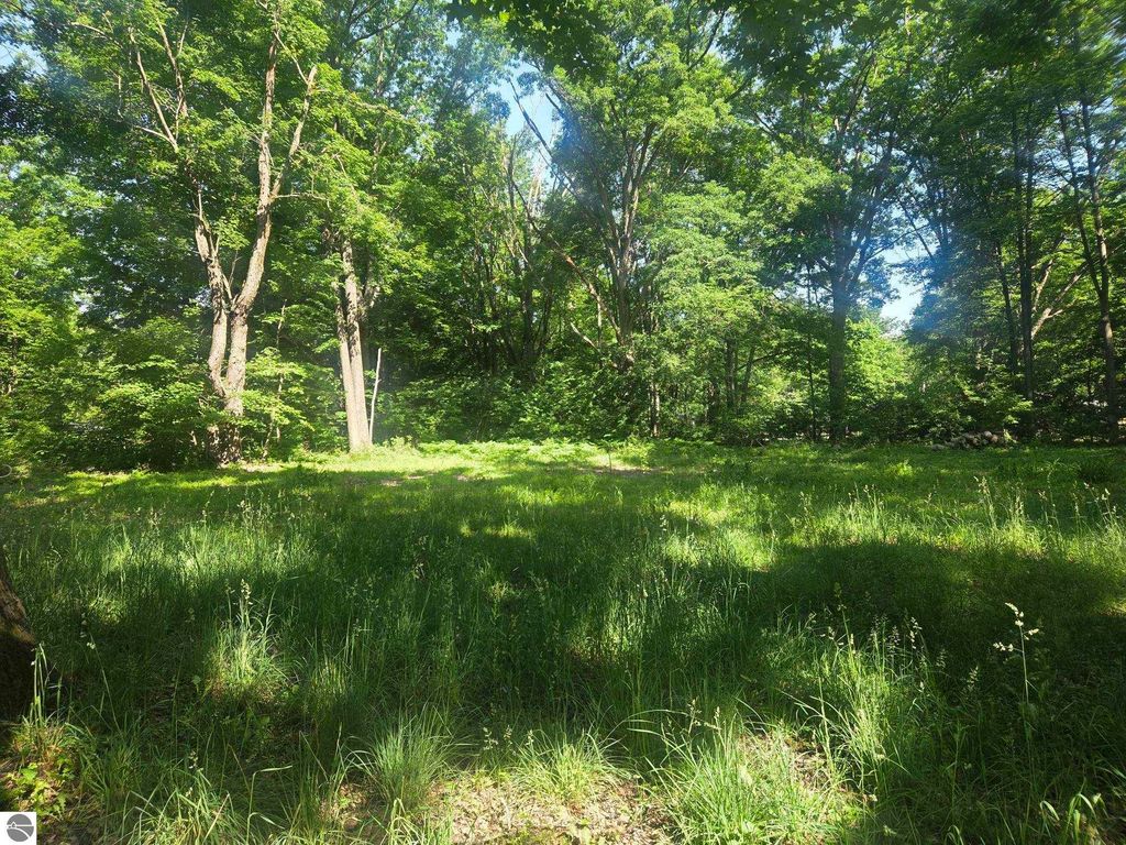 Image 1 of property listing at 7820 Wilderness Drive, Weidman, MI 48893