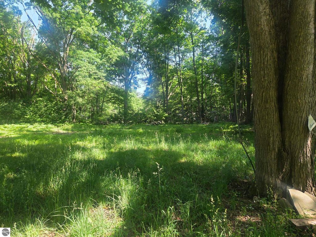 Image 2 of property listing at 7820 Wilderness Drive, Weidman, MI 48893