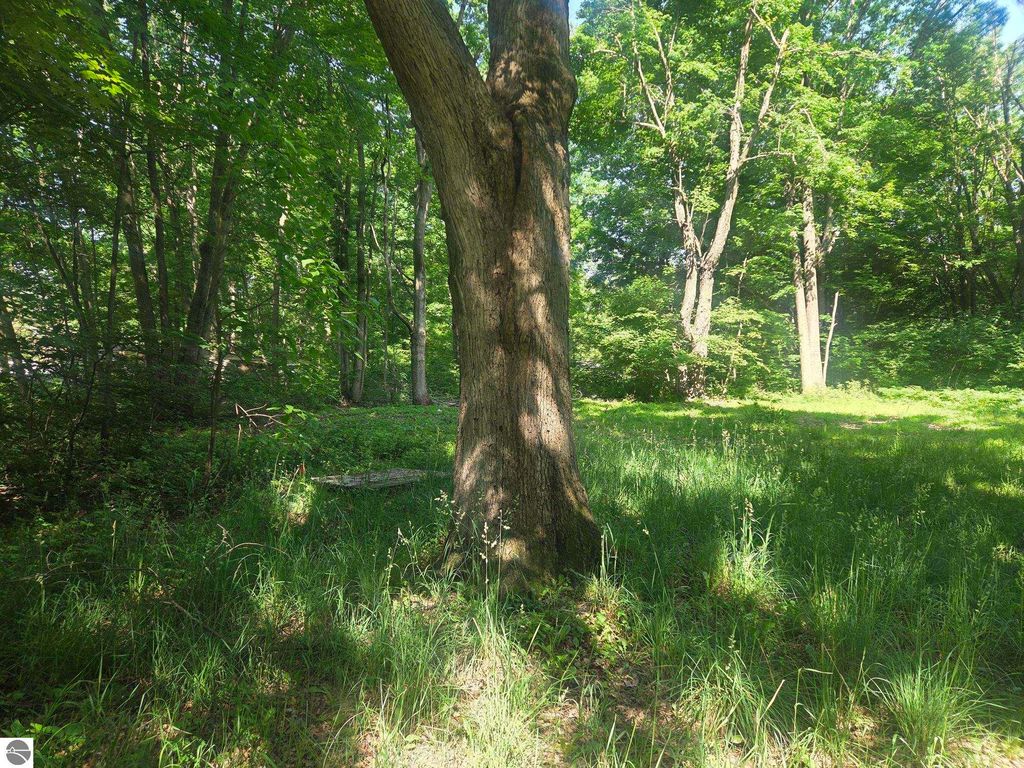 Image 3 of property listing at 7820 Wilderness Drive, Weidman, MI 48893
