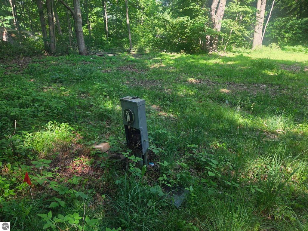 Image 5 of property listing at 7820 Wilderness Drive, Weidman, MI 48893