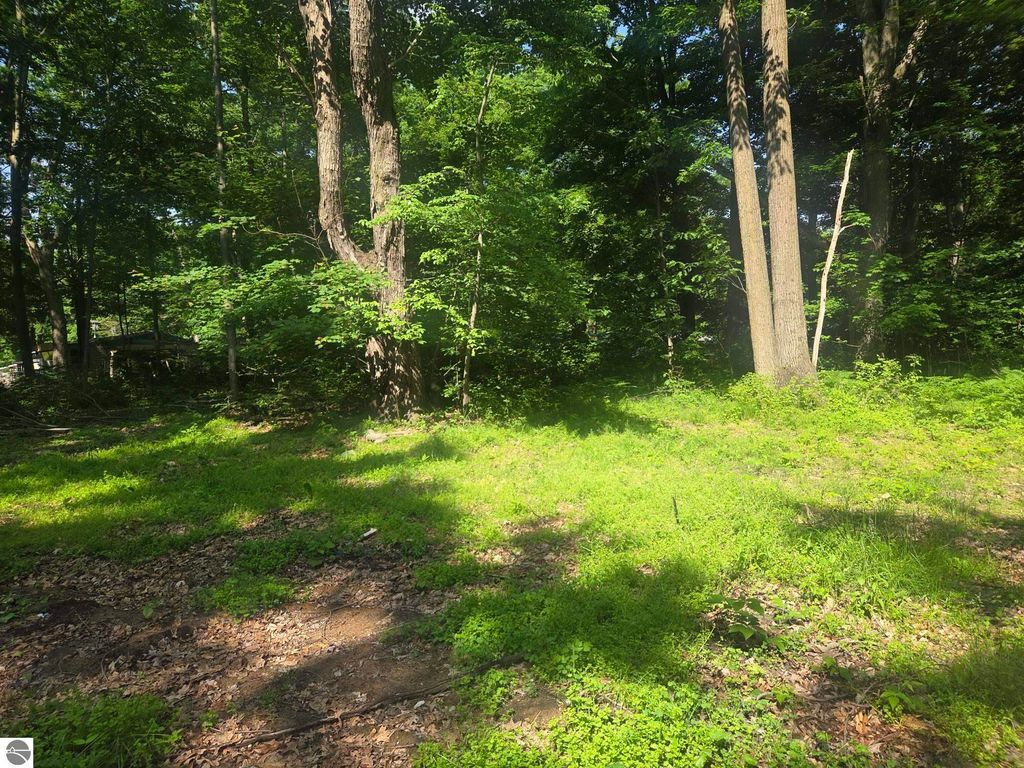 Image 9 of property listing at 7820 Wilderness Drive, Weidman, MI 48893