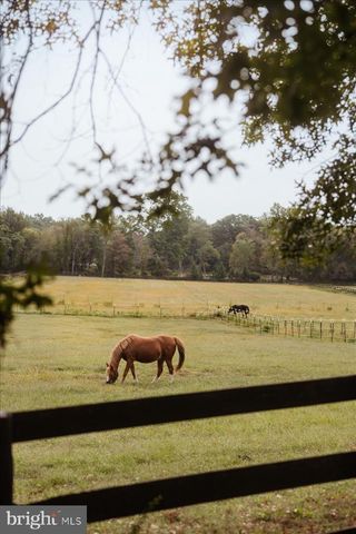 19606 RIDGESIDE RD, Bluemont, VA 20135