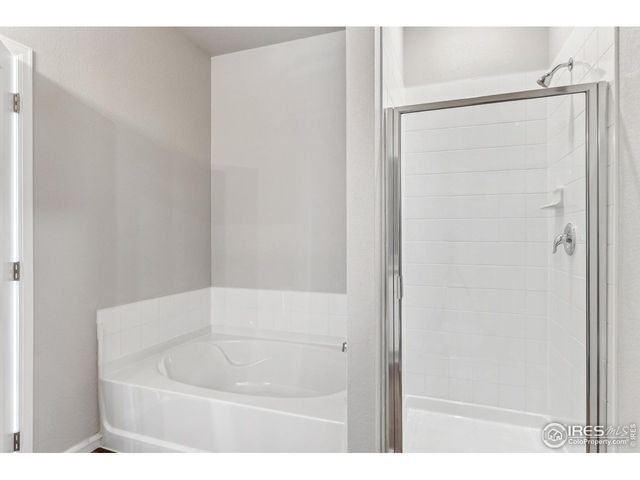 971 Cascade Falls St, Severance, CO 80550