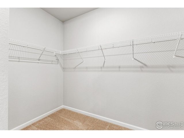 971 Cascade Falls St, Severance, CO 80550