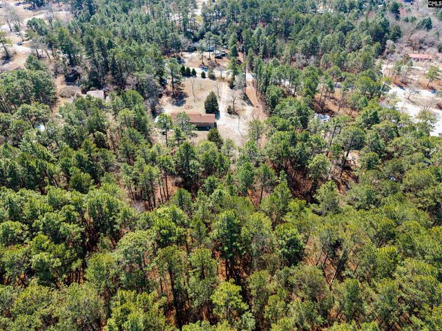 220 Falcon Drive, Lexington, SC 29073