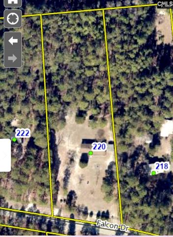 220 Falcon Drive, Lexington, SC 29073