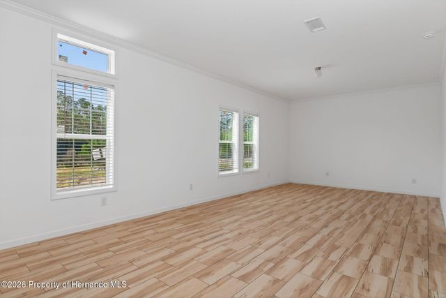 8388 Dalewood Drive, Weeki Wachee, FL 34613