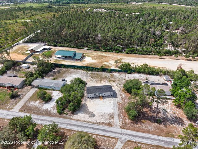 8388 Dalewood Drive, Weeki Wachee, FL 34613