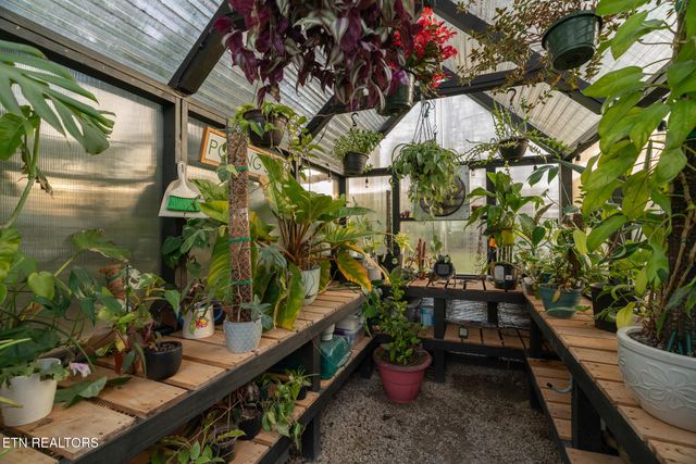 5301 Mattice Lane, Corryton, TN 37721