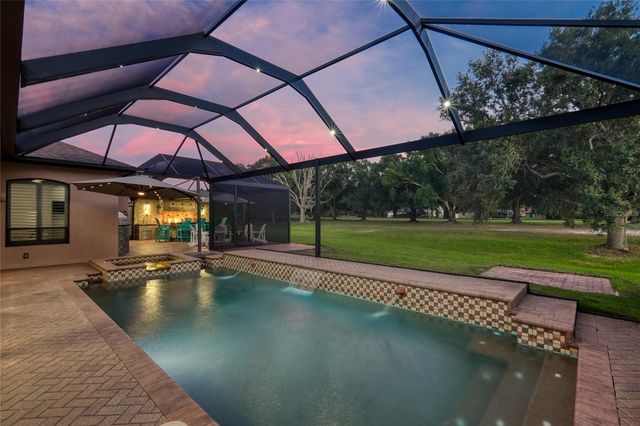 12512 EAGLES ENTRY DRIVE, Odessa, FL 33556