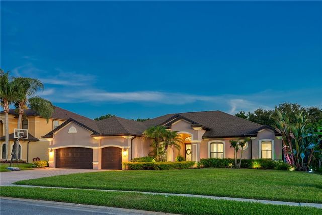 12512 EAGLES ENTRY DRIVE, Odessa, FL 33556