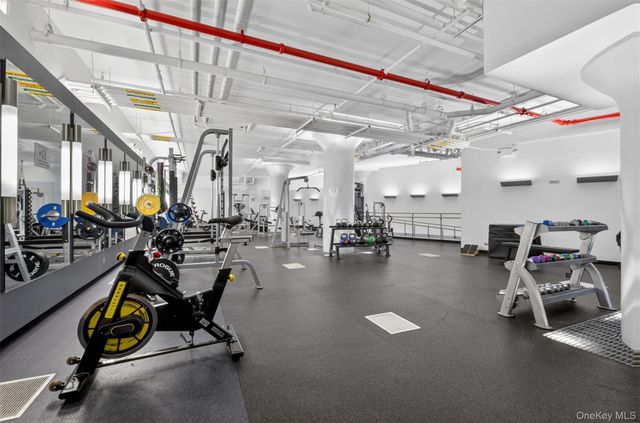 27-28 Thomson Avenue 250, Long Island City, NY 11101