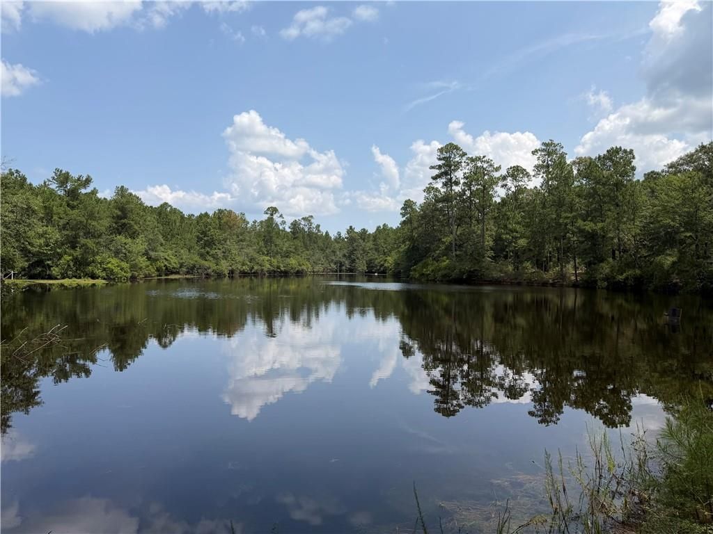 21662 Highway 45, Citronelle, AL 36522 — photo 2