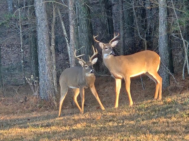 499 River Bluffs Drive Jh-109, Jasper, TN 37347