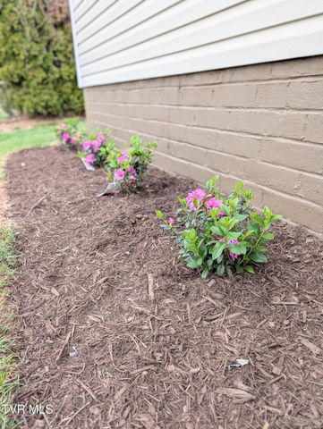 1944 Greenway Street, Kingsport, TN 37660