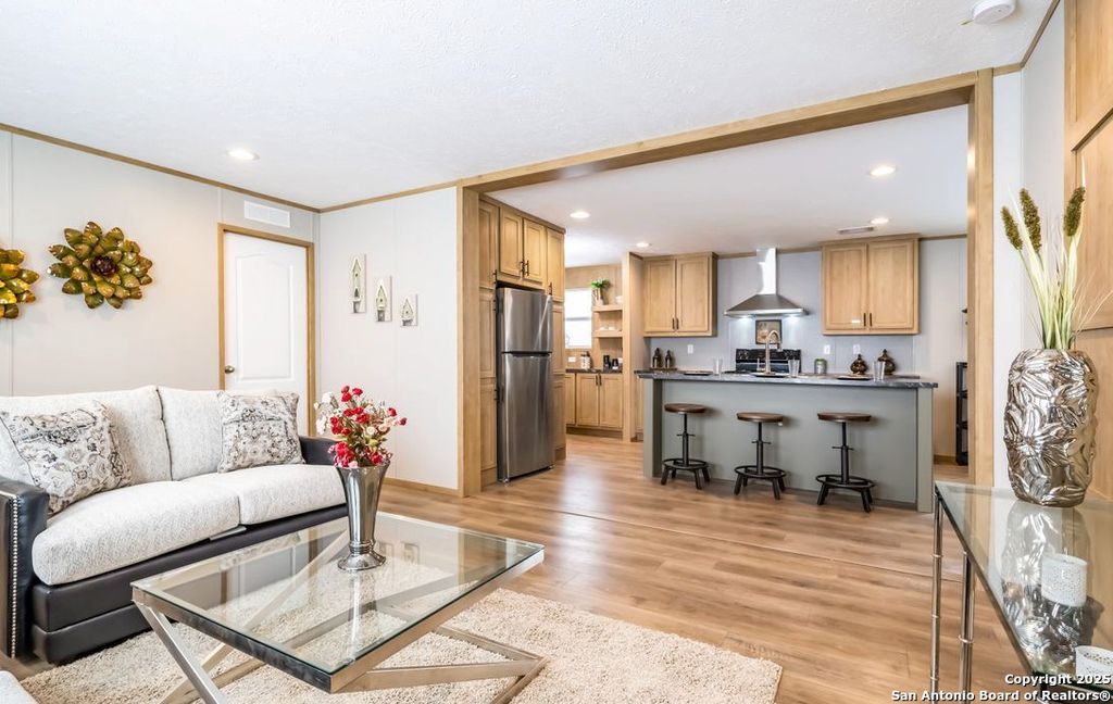 00 Borregas, Elmendorf, TX 78112