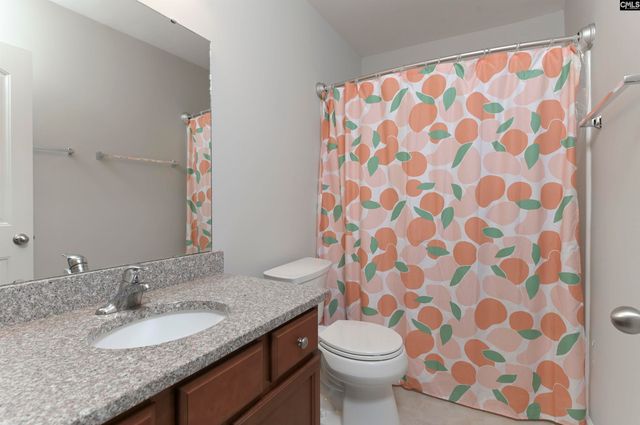 301 Explorer Drive, Chapin, SC 29036