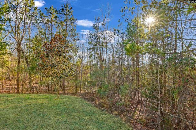 301 Explorer Drive, Chapin, SC 29036