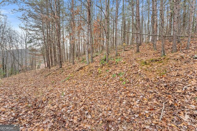 0 South Laceola Road, Cleveland, GA 30528