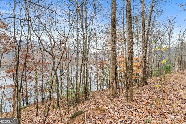 0 South Laceola Road, Cleveland, GA 30528