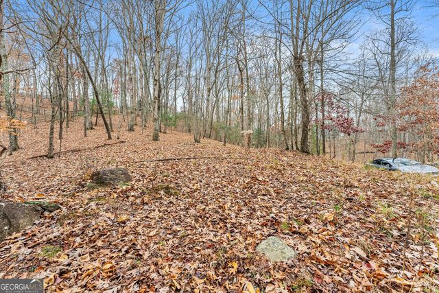 0 South Laceola Road, Cleveland, GA 30528